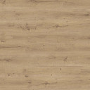 Ламинат Haro Daily Edition 8 mm 541343 Дуб Бреда Пуро  | FLOORDEALER